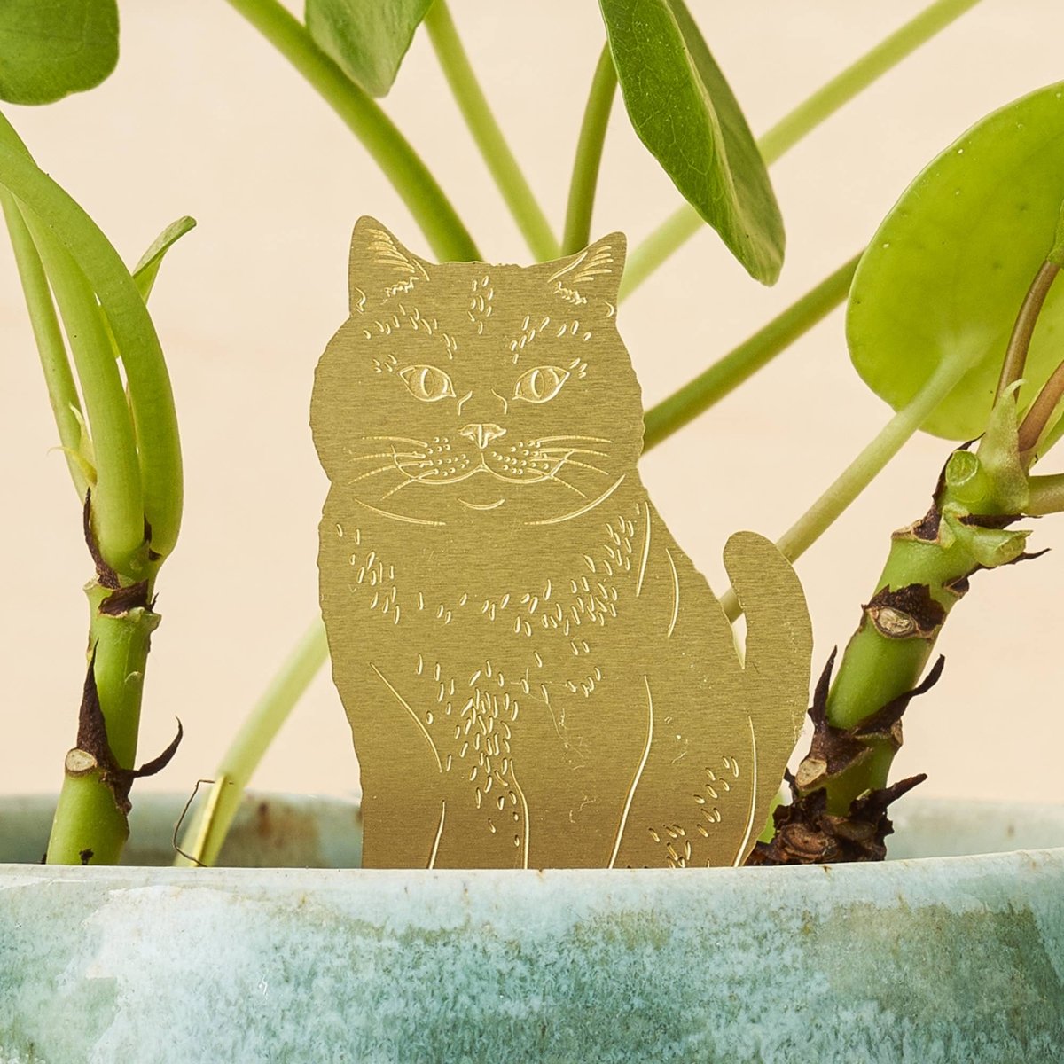  Plant Animal- Plant Decor- Cat
