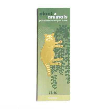  Plant Animal - Raccoon