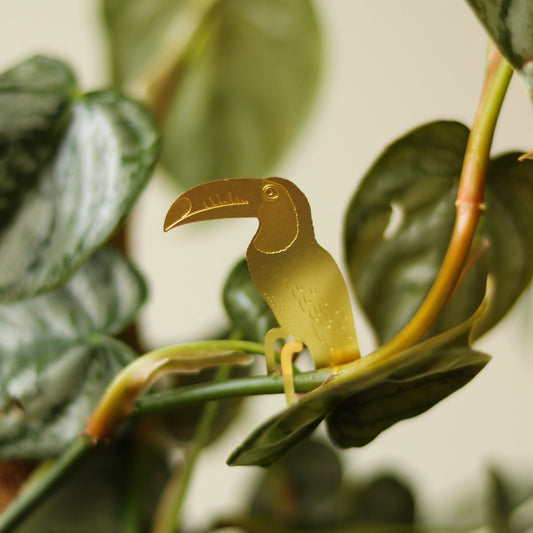  Plant Animal - Toucan
