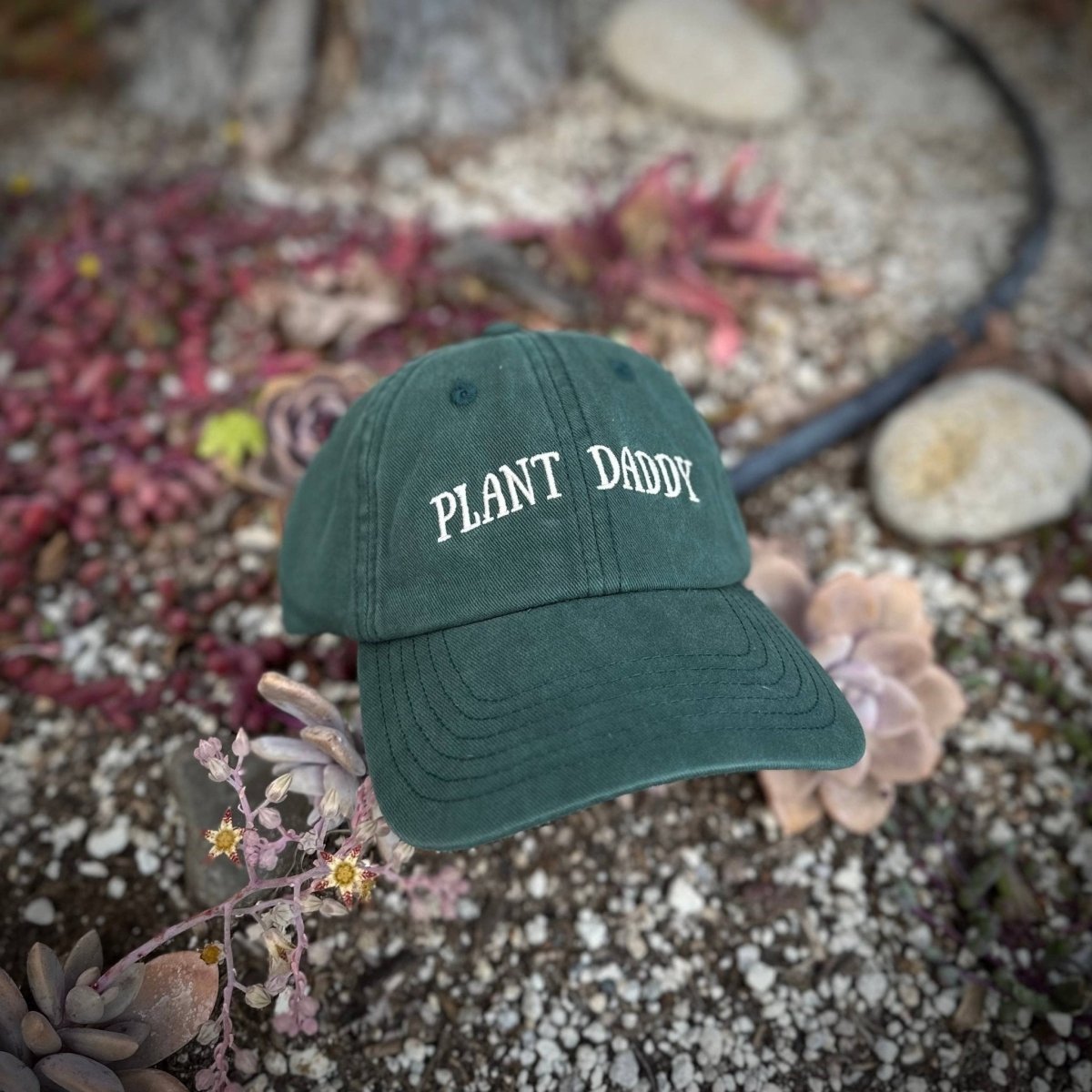  Plant Daddy Hat