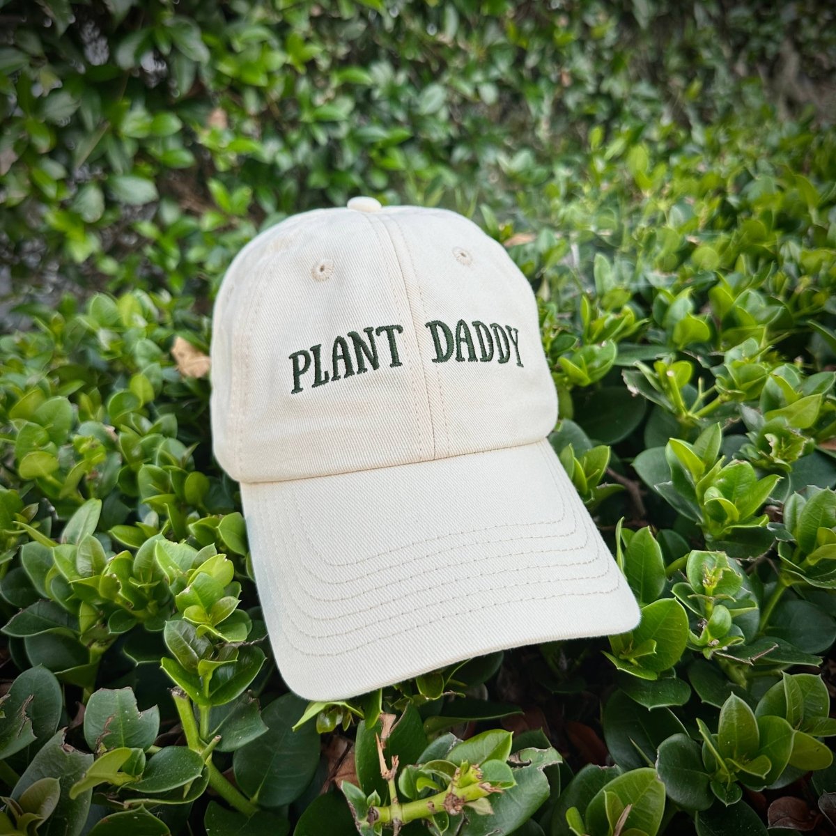  Plant Daddy Hat Cotton Color