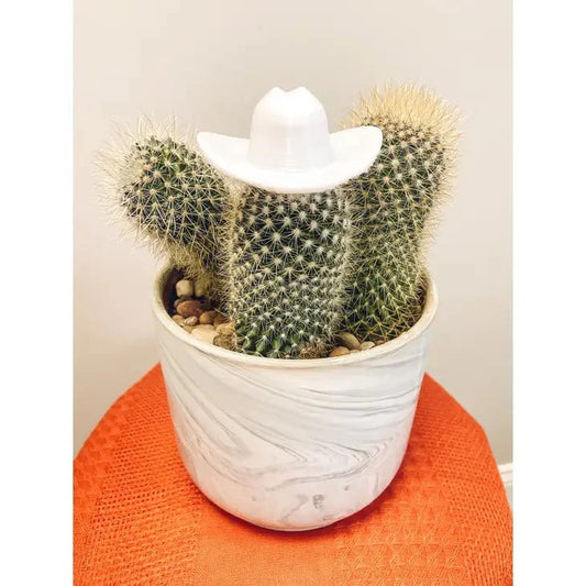 Plant Hats
