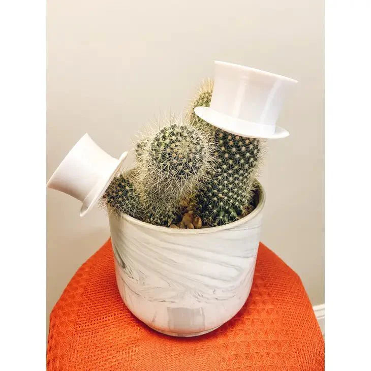  Plant Hats