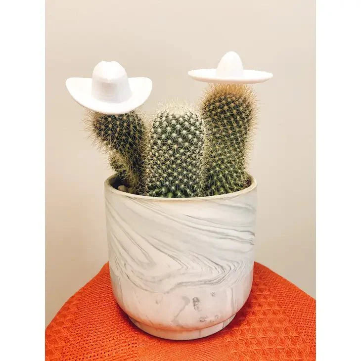  Plant Hats