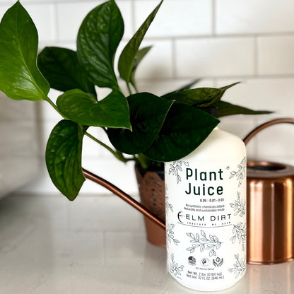  Plant Juice - The Best Houseplant Fertilizer For Happy, Hungry Plants