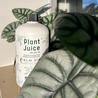  Plant Juice - The Best Houseplant Fertilizer For Happy, Hungry Plants