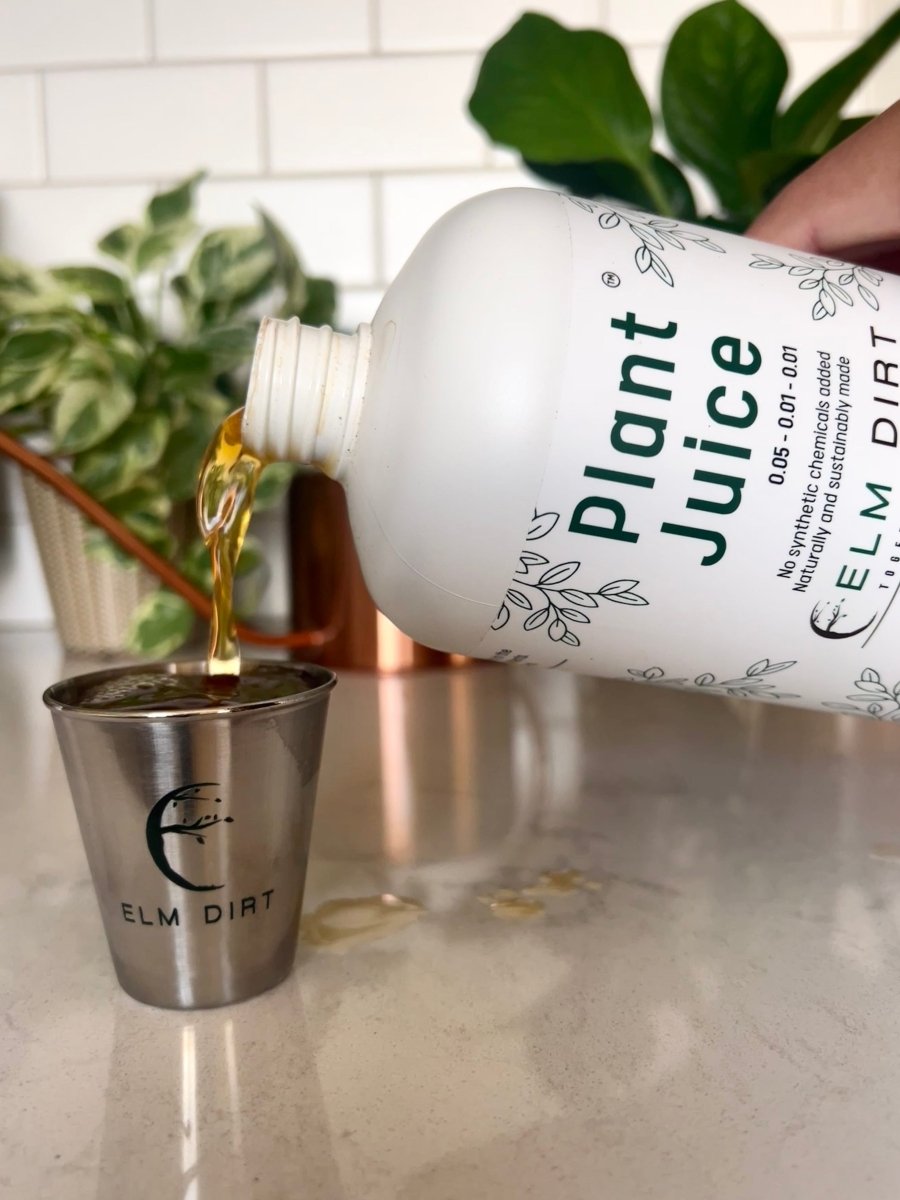  Plant Juice - The Best Houseplant Fertilizer For Happy, Hungry Plants