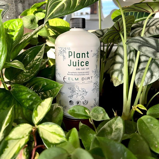  Plant Juice - The Best Houseplant Fertilizer For Happy, Hungry Plants
