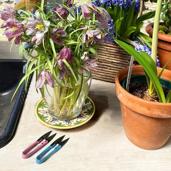  Plant Snips
