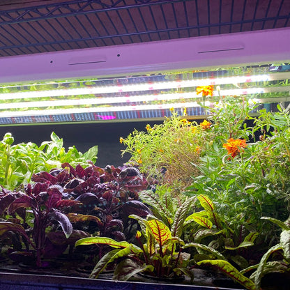  Plug & Play 4' LED Grow Lamp – T5 HO Sun White Pro Spectrum