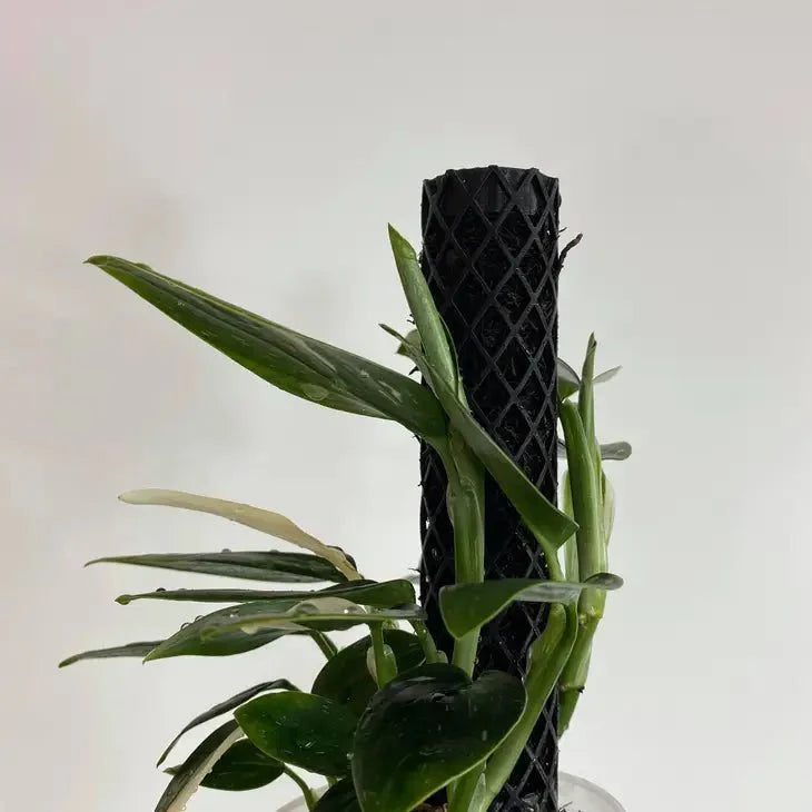  Plvnt Pole Set