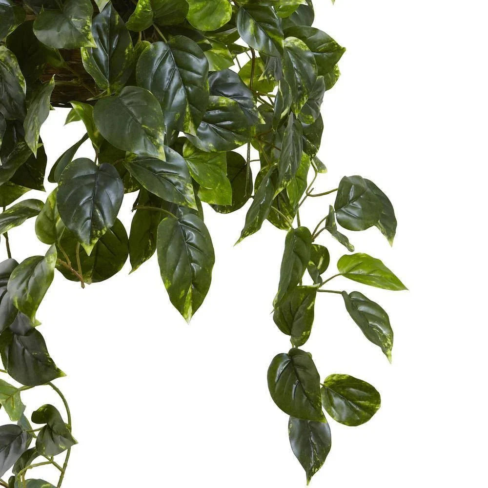 36-in Pothos Hanging Basket UV Resistant - Indoor/Outdoor (36″H × 30″W)