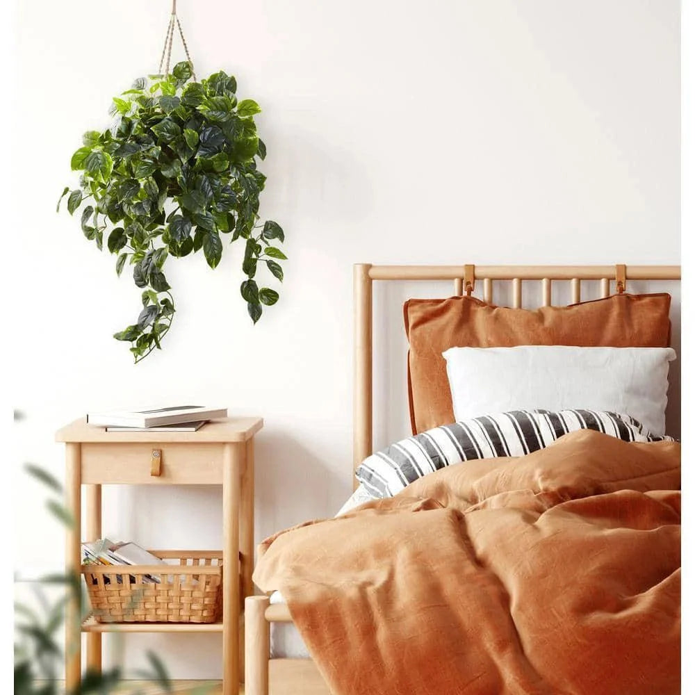  36-in Pothos Hanging Basket UV Resistant - Indoor/Outdoor (36″H × 30″W)