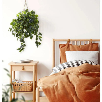  36-in Pothos Hanging Basket UV Resistant - Indoor/Outdoor (36″H × 30″W)