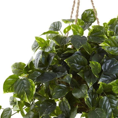  36-in Pothos Hanging Basket UV Resistant - Indoor/Outdoor (36″H × 30″W)