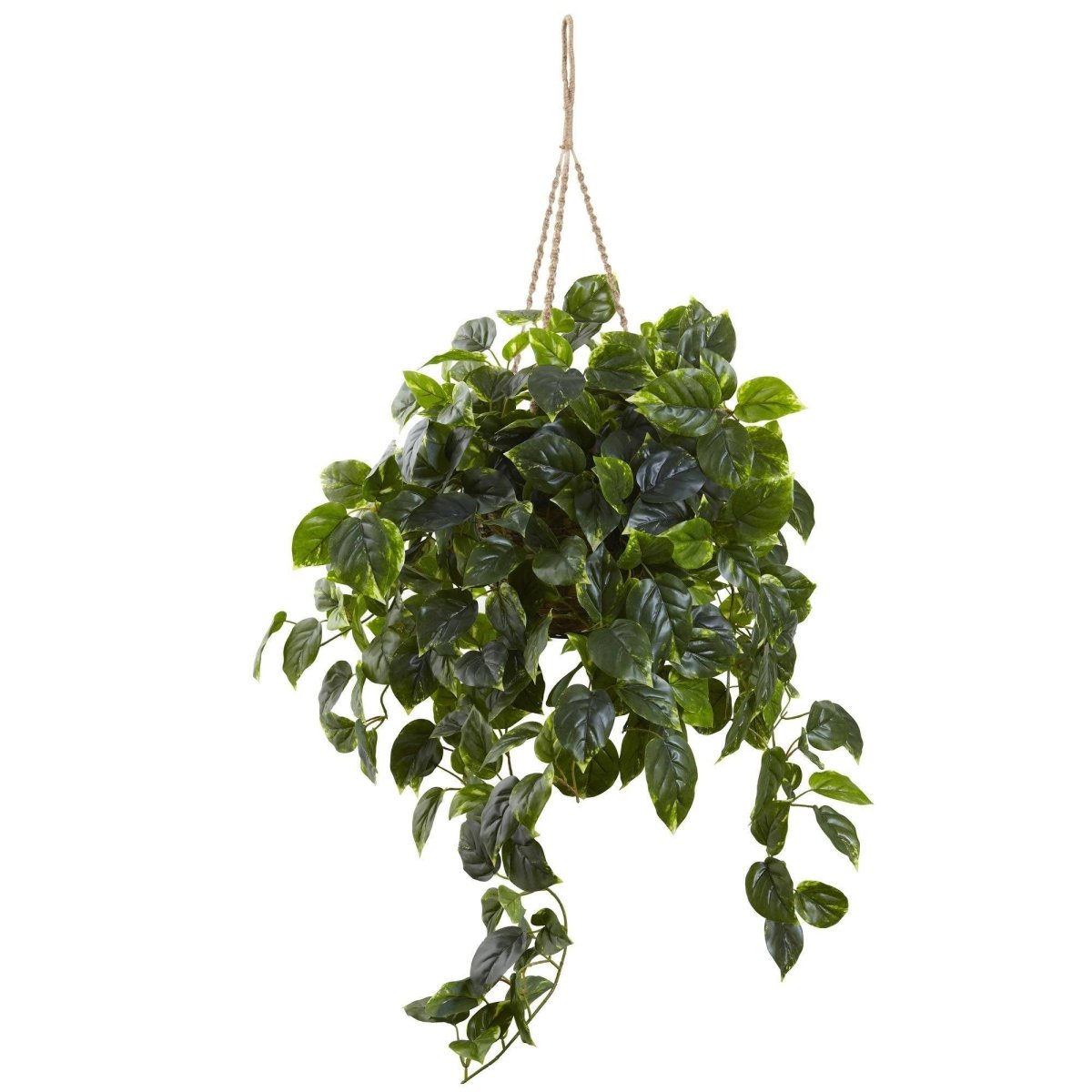  36-in Pothos Hanging Basket UV Resistant - Indoor/Outdoor (36″H × 30″W)
