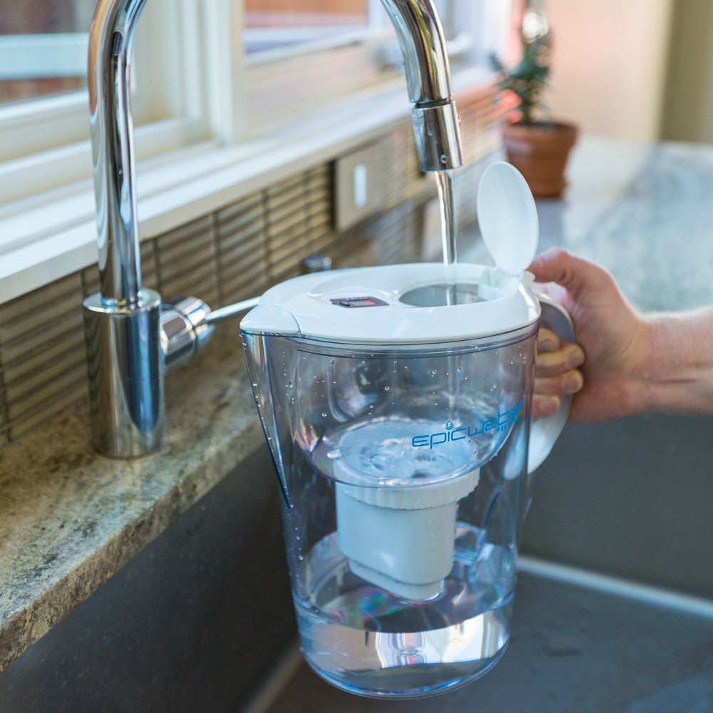  Pure Pitcher – Floride-Free Hydration For Humans And Houseplants