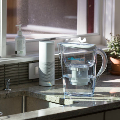  Pure Pitcher – Floride-Free Hydration For Humans And Houseplants