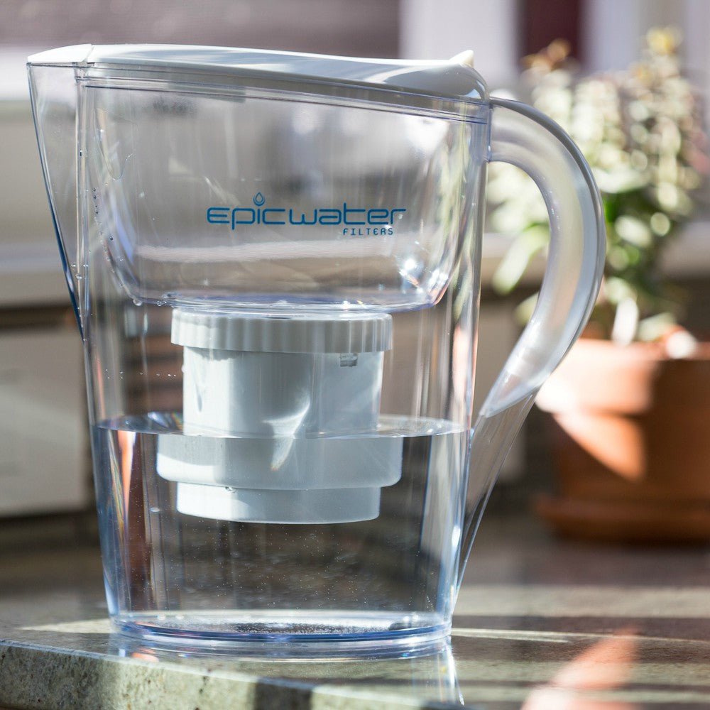  Pure Pitcher – Floride-Free Hydration For Humans And Houseplants