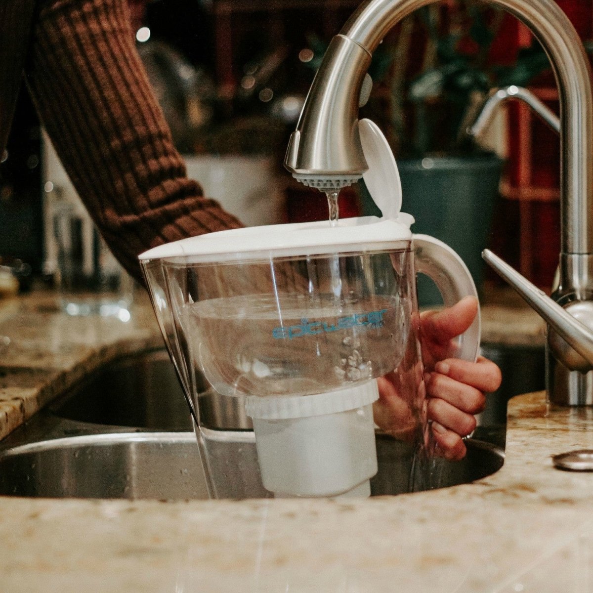  Pure Pitcher – Floride-Free Hydration For Humans And Houseplants