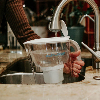  Pure Pitcher – Floride-Free Hydration For Humans And Houseplants