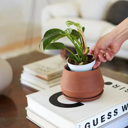  Handcrafted Rancho Planter – Artisan Ceramic By Angela Nicole Drew