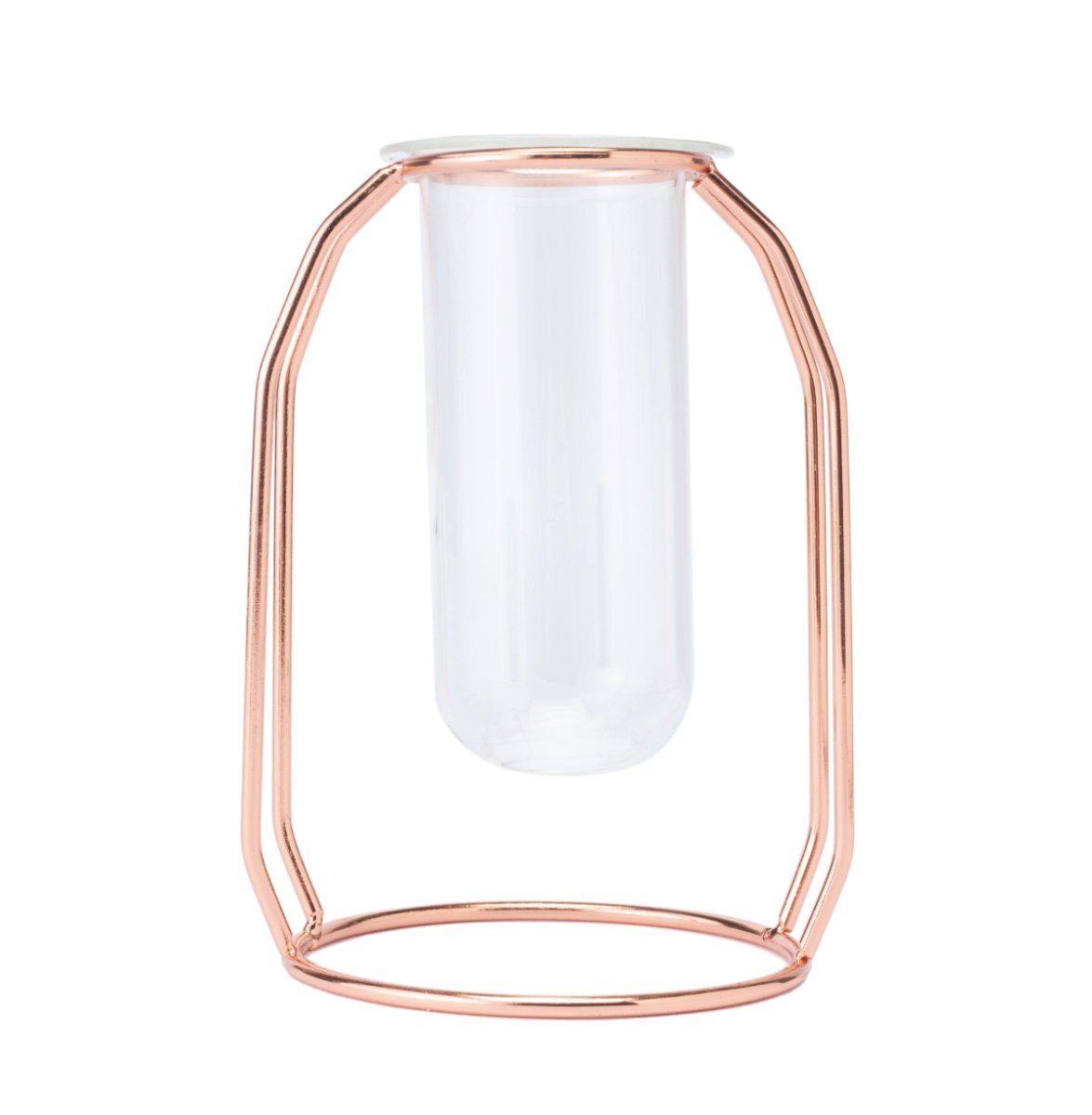  Rose Gold Propagation Station & Vase