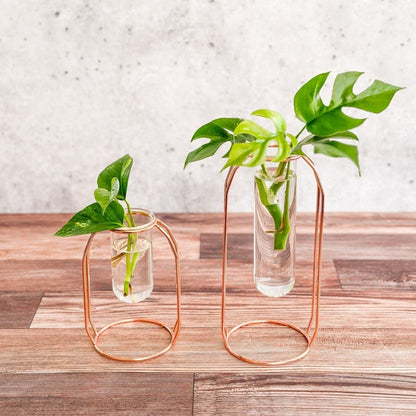  Rose Gold Propagation Station & Vase