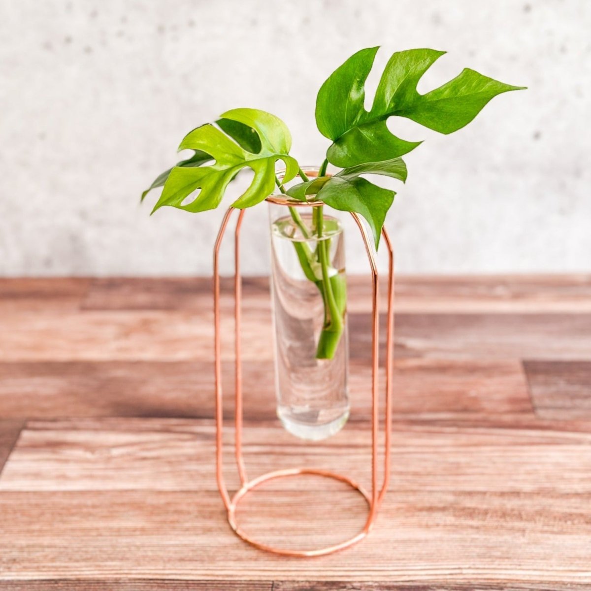 Rose Gold Propagation Station & Vase