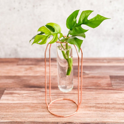  Rose Gold Propagation Station & Vase