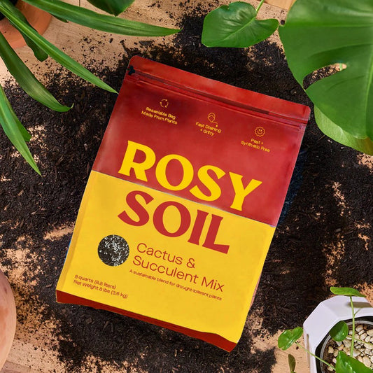  Rosy Soil- Organic Cactus & Succulent Mix 4qt