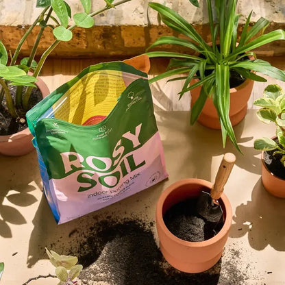  Rosy Soil Organic Indoor Potting Mix- Houseplant 8qt.