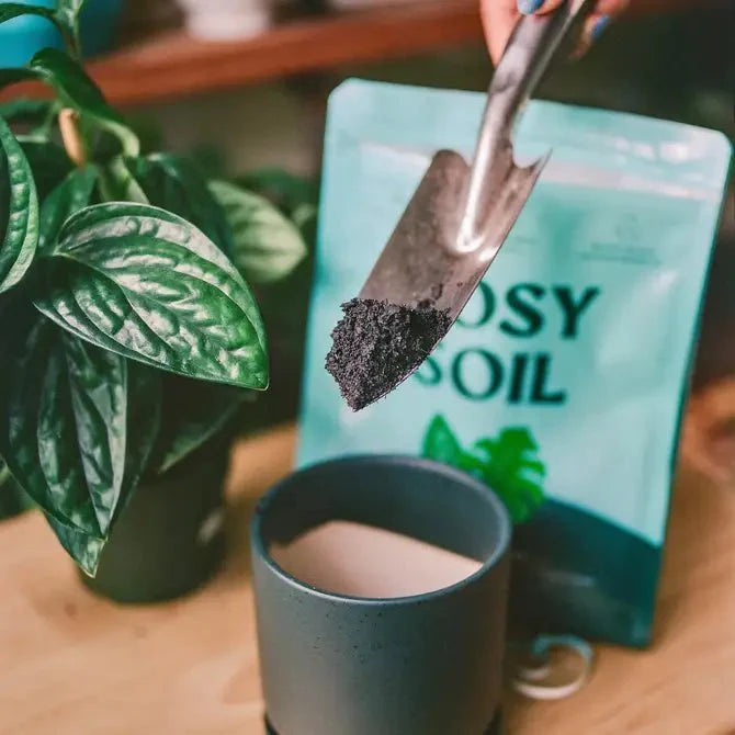  Rosy Soil Organic Indoor Potting Mix- Houseplant 8qt.