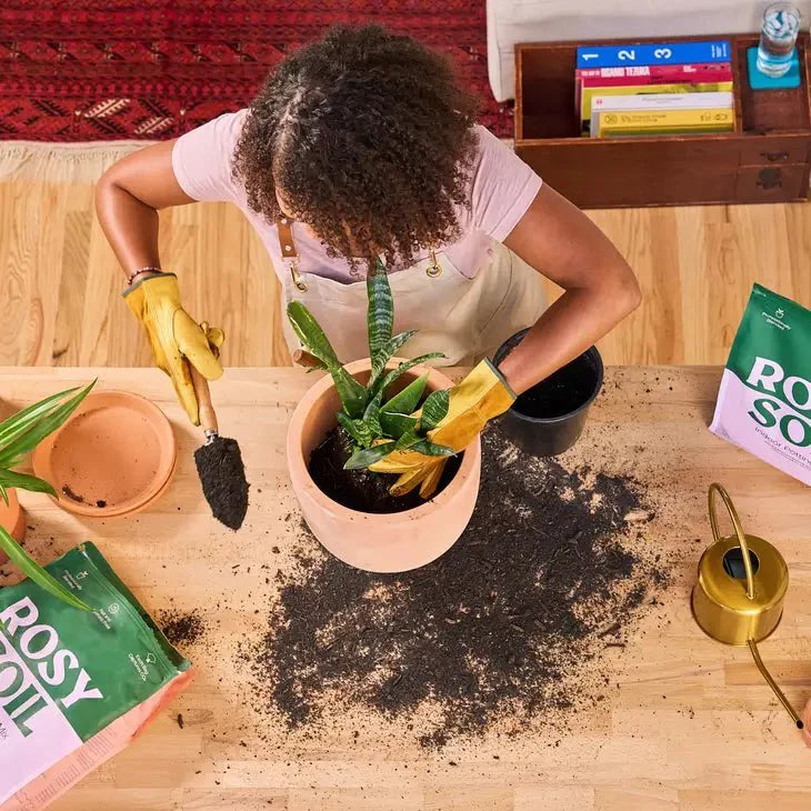  Rosy Soil Organic Indoor Potting Mix- Houseplant 8qt.