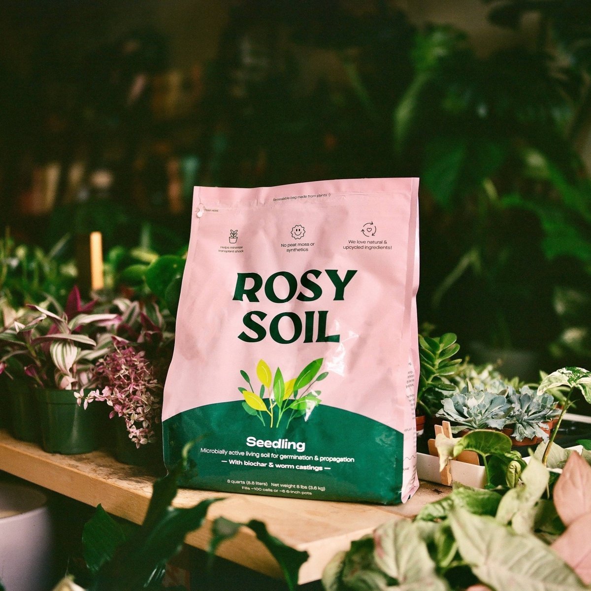  Rosy Soil Organic Seedling & Propagation Mix 8qt.