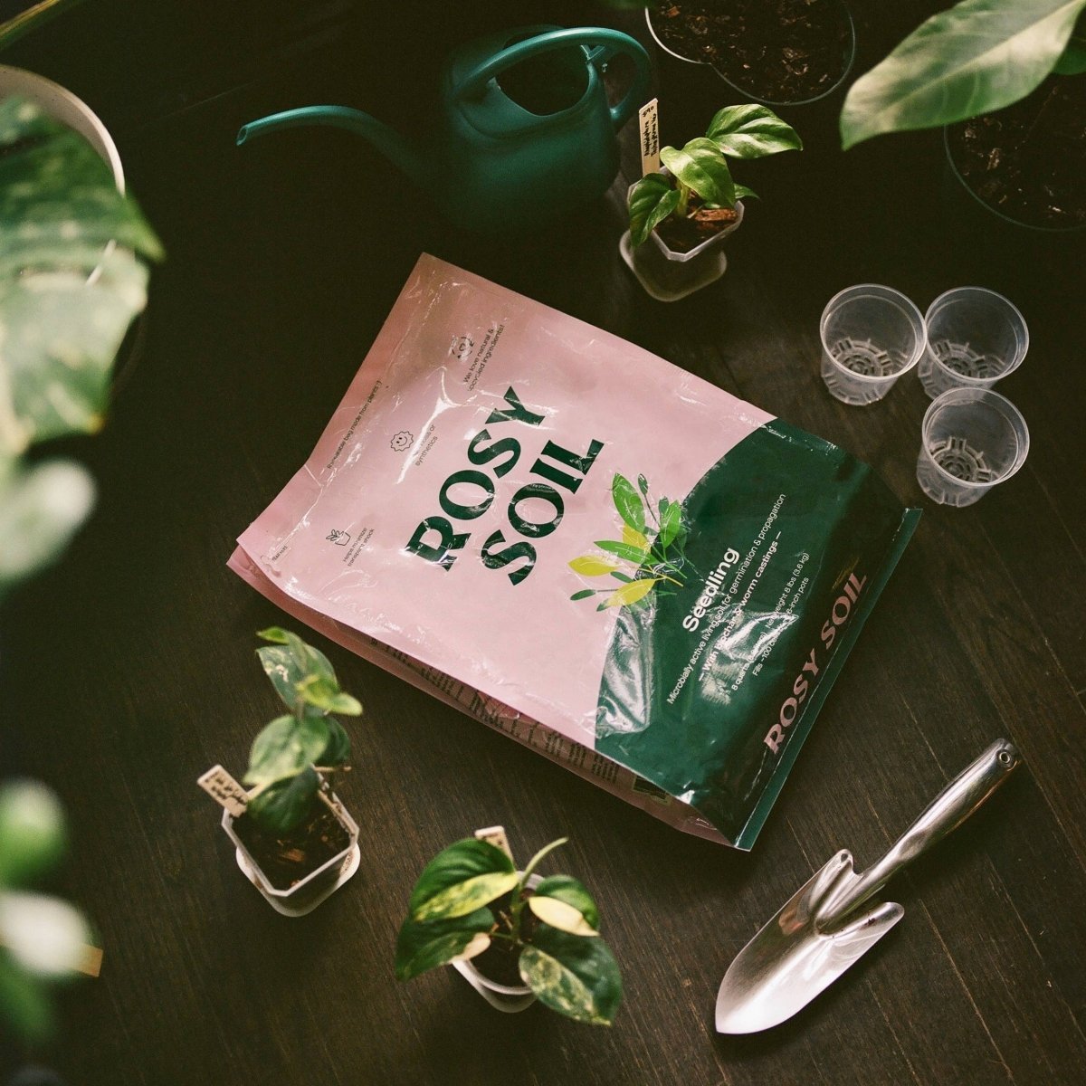  Rosy Soil Organic Seedling & Propagation Mix 8qt.