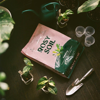  Rosy Soil Organic Seedling & Propagation Mix 8qt.