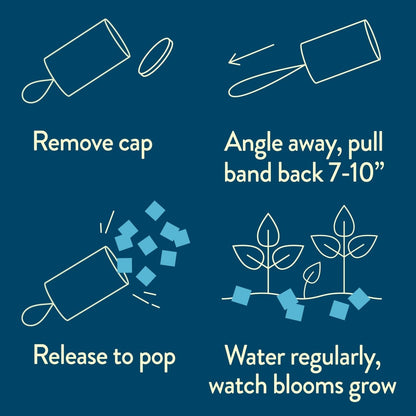  Seed Confetti Popper – Eco-Friendly Party Favors That Grow Wildflowers!