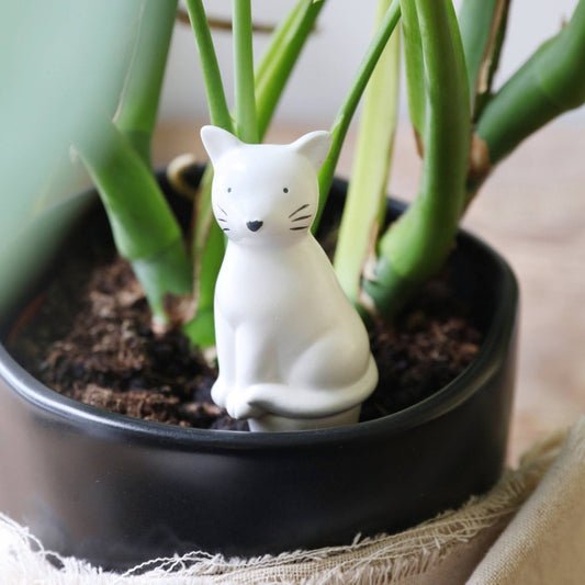  Self Watering Device - Cat