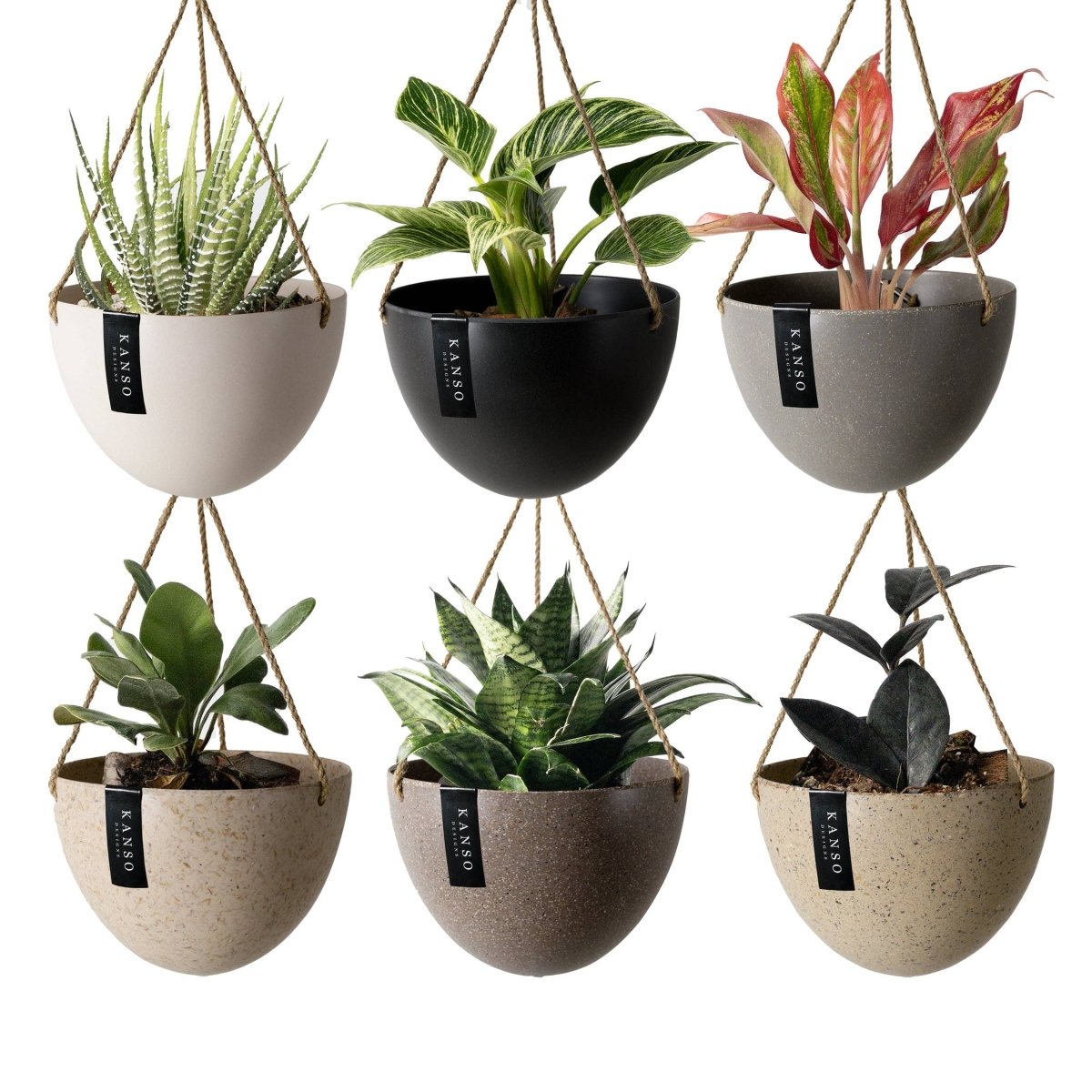  8" Upcycled Hanging Planters