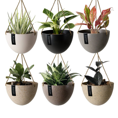  8" Upcycled Hanging Planters