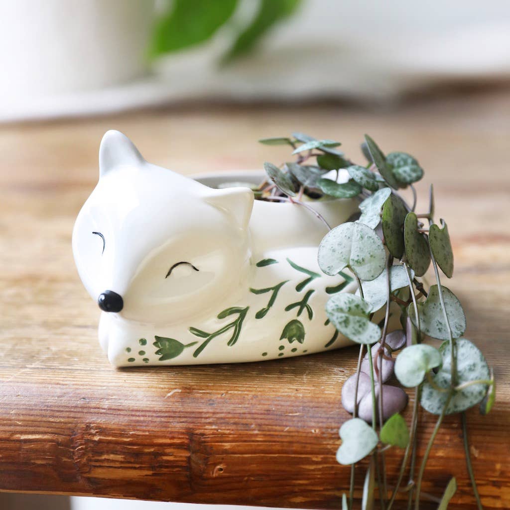  Sleeping Fox Indoor Planter
