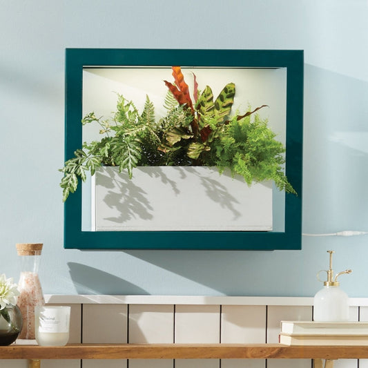  Smart Standard Growframe (Online Only) | Wall-Mountable LED Grow Light Frame