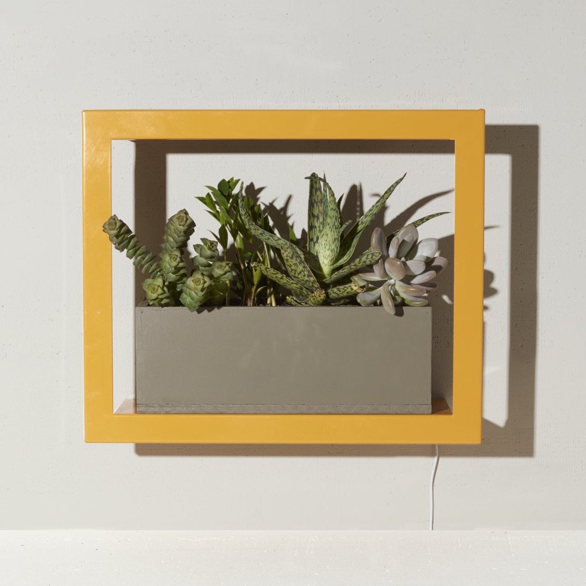  Smart Standard Growframe (Online Only) | Wall-Mountable LED Grow Light Frame