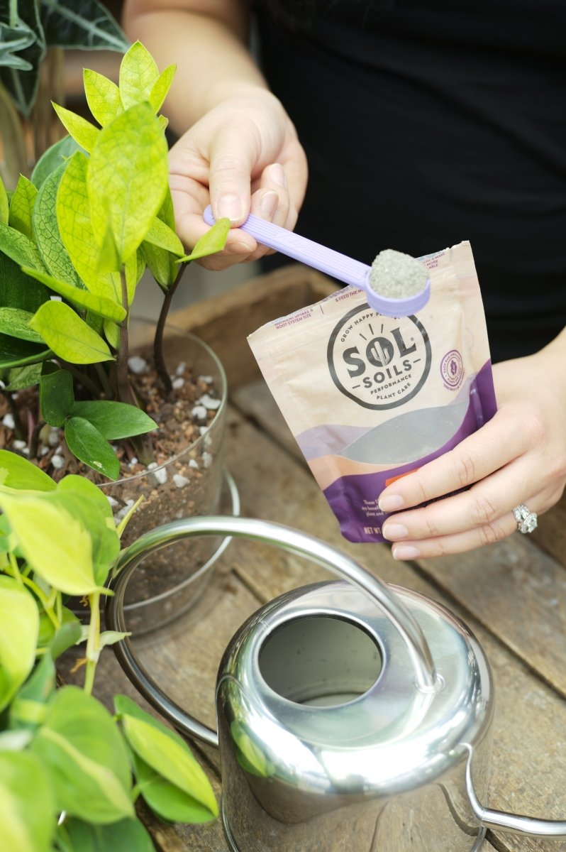  Sol Biotics Purple Powder Spoon – 1 Teaspoon Scoop