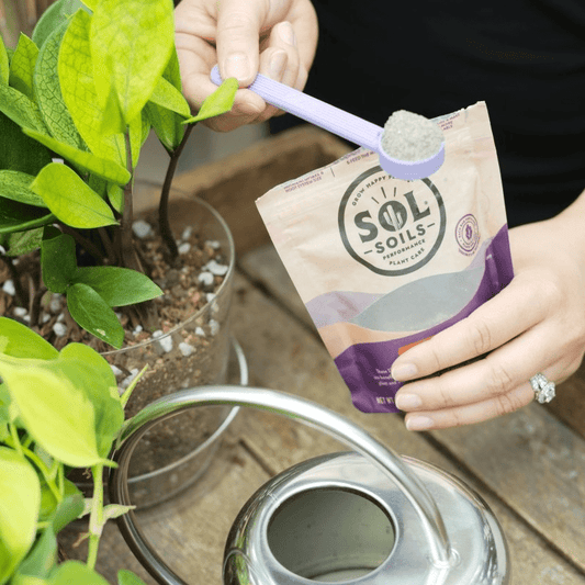  Sol Biotics Purple Powder Spoon – 1 Teaspoon Scoop