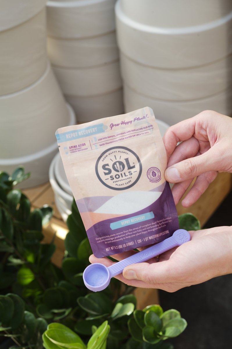 Sol Biotics – Repot Recovery: Probiotic Transplant Shock Relief
