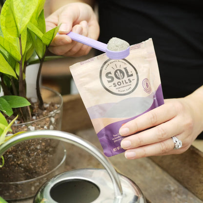  Sol Biotics – Repot Recovery: Probiotic Transplant Shock Relief