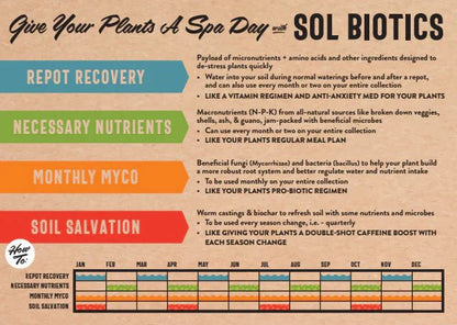 Sol Biotics – Repot Recovery: Probiotic Transplant Shock Relief