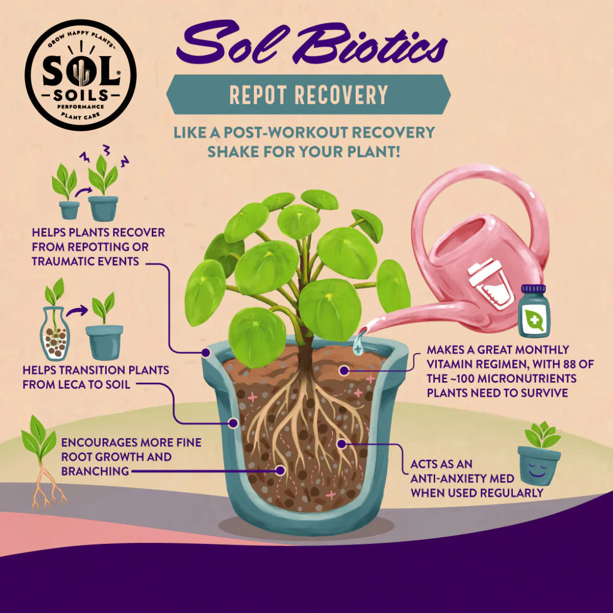  Sol Biotics – Repot Recovery: Probiotic Transplant Shock Relief